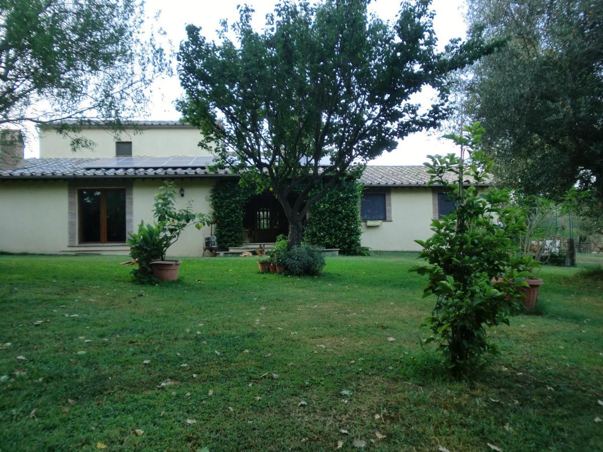 Bed and Breakfast I Massi à San Michele in Teverina Extérieur photo