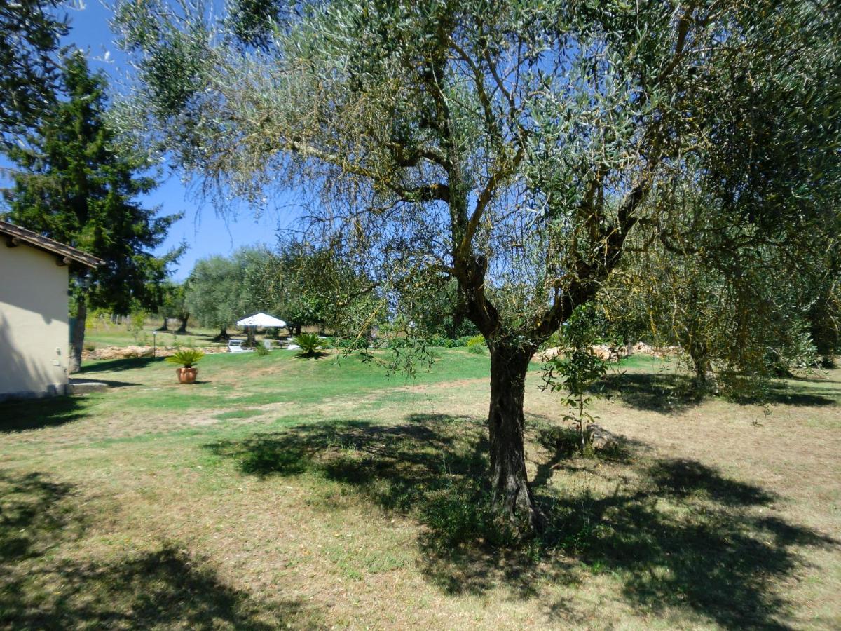 Bed and Breakfast I Massi à San Michele in Teverina Extérieur photo