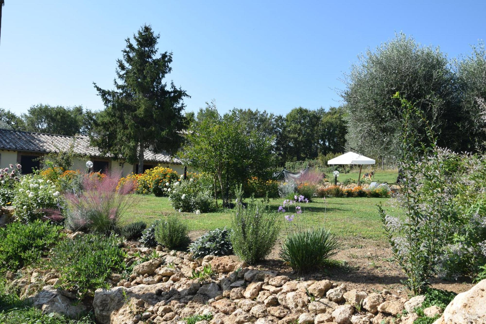 Bed and Breakfast I Massi à San Michele in Teverina Extérieur photo